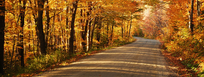 Country road in Fall